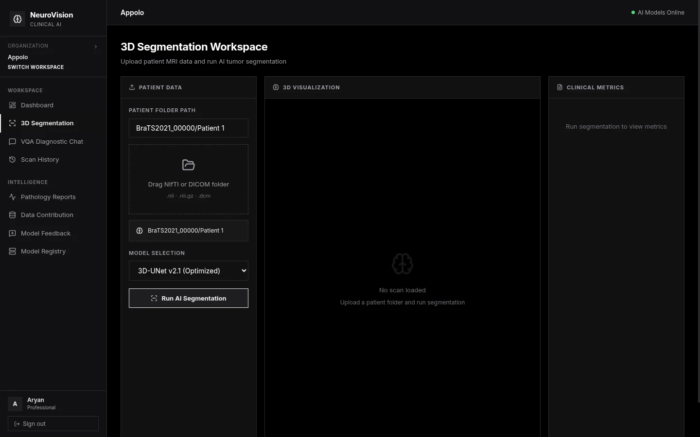3D Segmentation Workspace